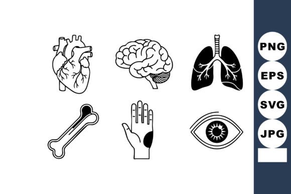 Human Organs Heart Brain Lungs Bone Hand: Embroidery Review