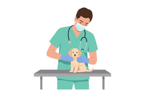 Veterinarian Examining Golden Retriever